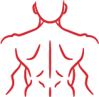 Asset 6 Vector Graphic of a Back.